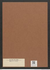 Diatomeae indet. Zeichnungen Sammlung Grunow Mappe 03472 (Herbarium_W_Grunow_drawings_Folder_03472)
